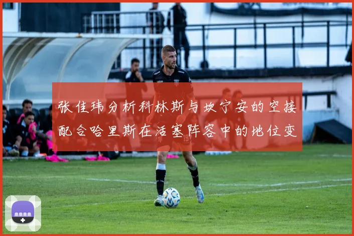 张佳玮分析科林斯与坎宁安的空接配合哈里斯在活塞阵容中的地位变化