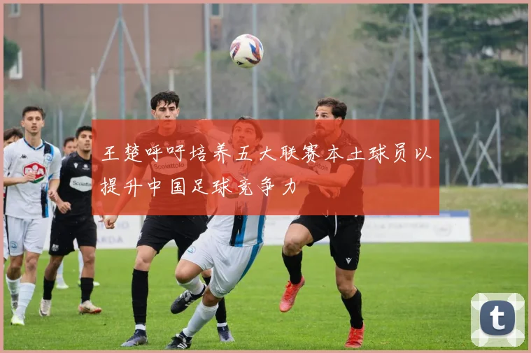 王楚呼吁培养五大联赛本土球员以提升中国足球竞争力